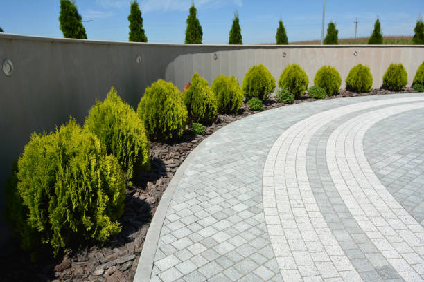 Reasons to Select Us for Your Driveway Paving Requirements in Shelby, NC